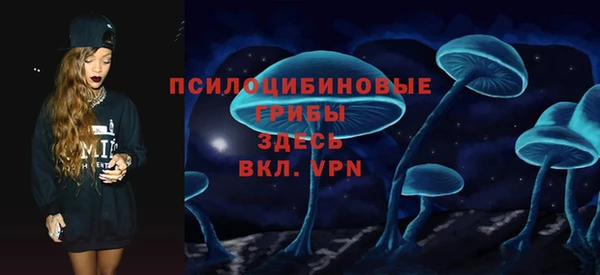 сатива Абинск