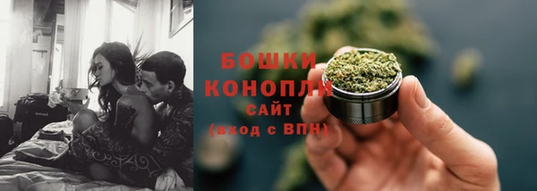 сатива Абинск