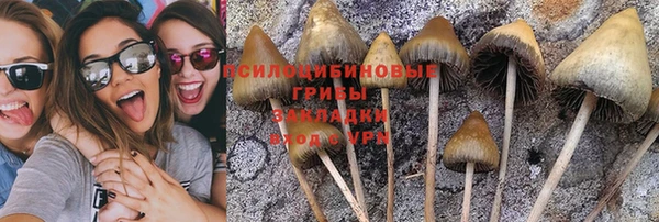 амф Абаза
