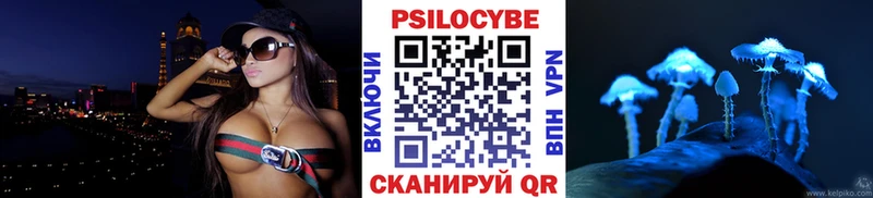 Псилоцибиновые грибы MAGIC MUSHROOMS  где продают   Норильск 