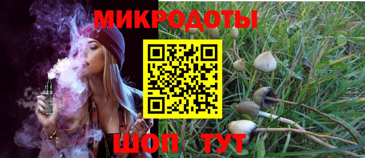 Псилоцибиновые грибы мицелий Норильск