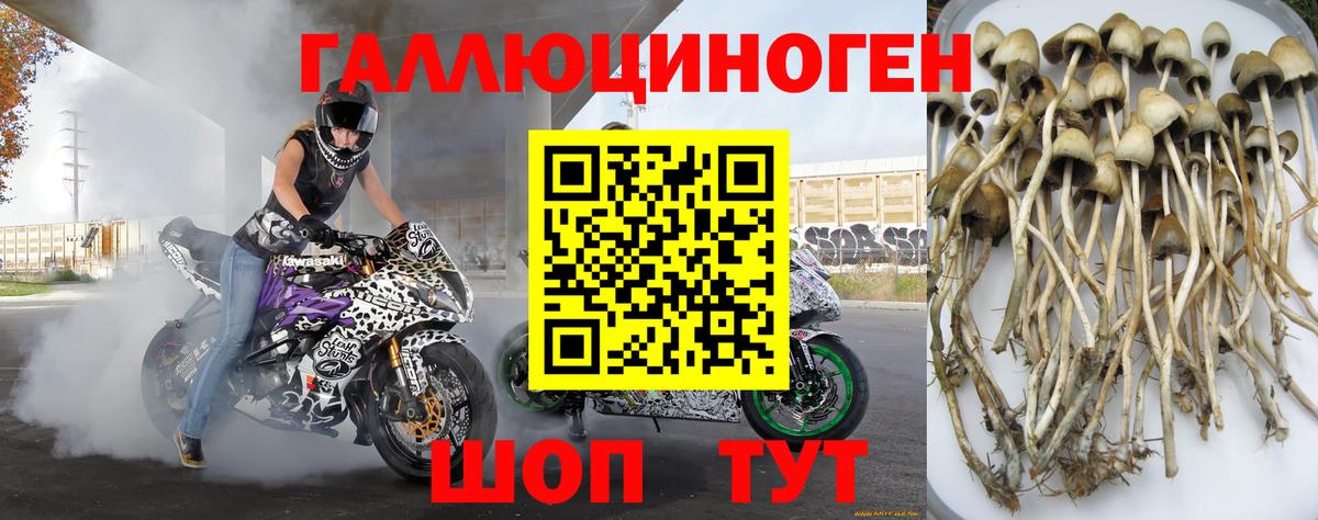 Кокаин  Вход с VPN  МЕФ кристаллы  Меф МЯУ МЯУ  Амфетамин кристаллы  МАРИХУАНА  MDMA  Норильск  ГАШИШ 